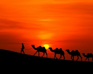 5-Day Astro Sahara Trip Marrakech